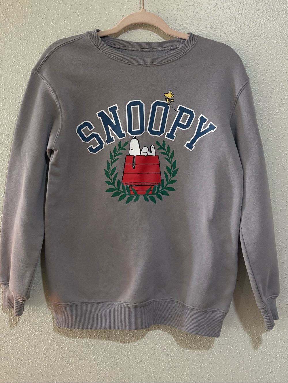 Peanuts Snoopy Graphic Sweatshirt Gray Fleece Crewneck XS - Picture 1 of 5